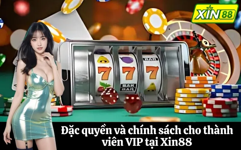Đặc quyền và chính sách cho thành viên VIP tại Xin88
